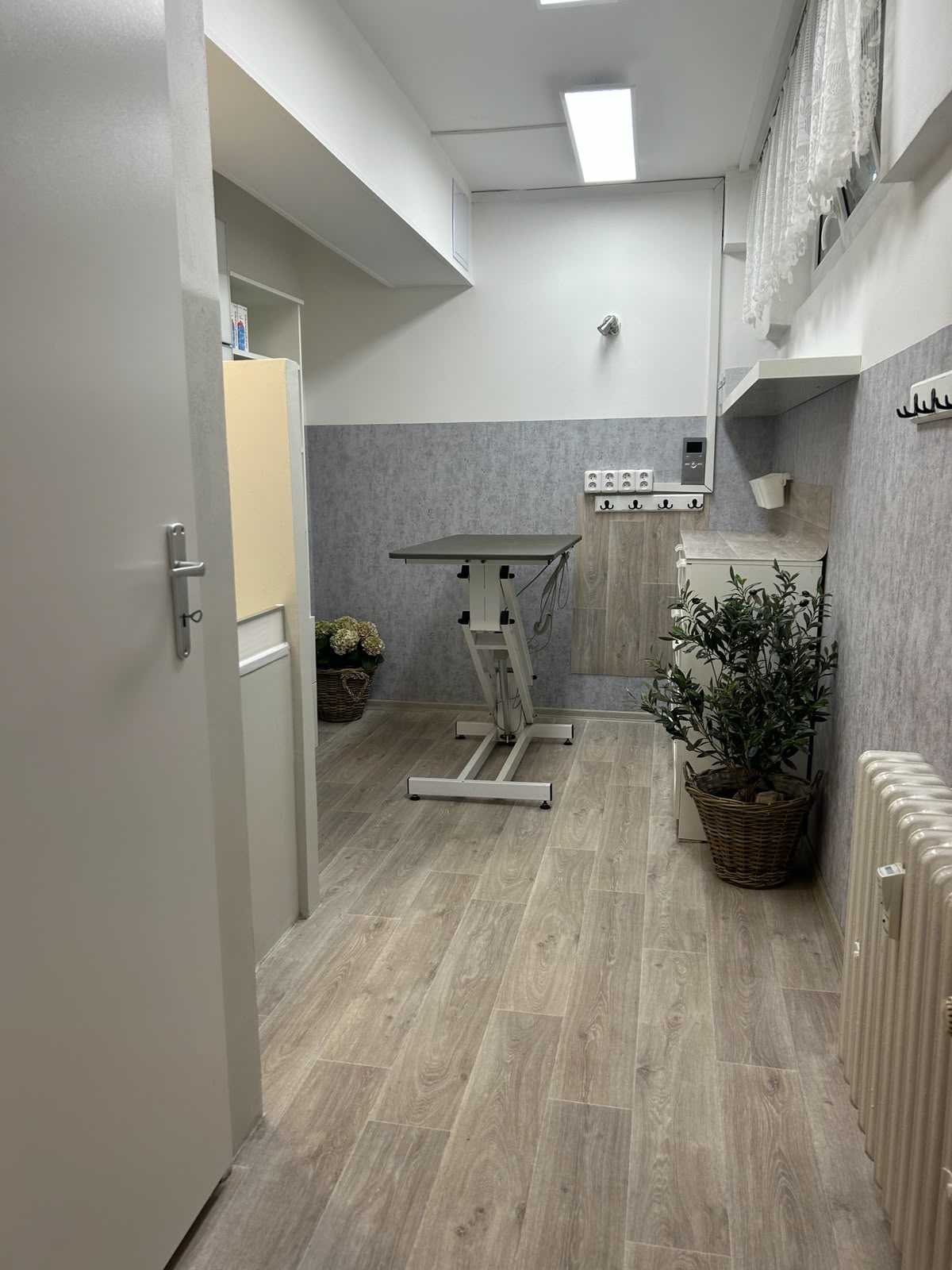Psí salon LUCI - 1